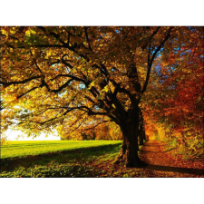  Vászon festmény, MÉDIA, Az erdő szélén, 105 x 70 cm grafika, keretezett kép