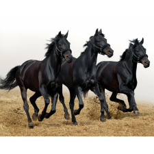  Vászon festmény, MEDIA, Cai17, 105 x 70 cm grafika, keretezett kép