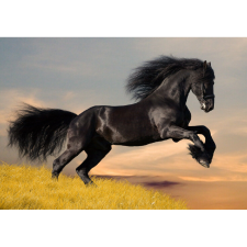  Vászon festmény, MÉDIA, Cai7, 105 x 70 cm grafika, keretezett kép