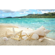  Vászon festmény, MEDIA, Csillagok és kagylók a tengerparton, 105 x 70 cm grafika, keretezett kép