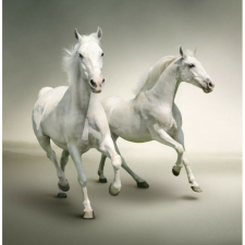  Vászon festmény, MÉDIA, Fehér lovak vágtája, 105 x 70 cm grafika, keretezett kép