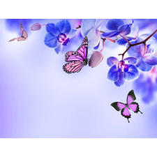  Vászon festmény, MEDIA, Kék orchidea, 105 x 70 cm grafika, keretezett kép