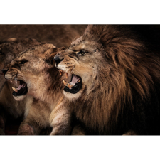  Vászon festmény, MÉDIA, Lei, 105 x 70 cm grafika, keretezett kép