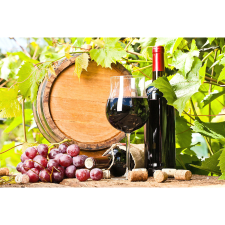  Vászon festmény, MÉDIA, Őszi betakarítás, 105 x 70 cm grafika, keretezett kép