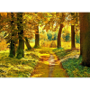  Vászon festmény, MEDIA, Őszi erdő, 105 x 70 cm