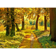  Vászon festmény, MEDIA, Őszi erdő, 105 x 70 cm grafika, keretezett kép