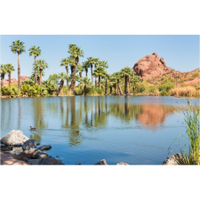  Vászon festmény, MEDIA, Pálmafás oázis, 105 x 70 cm grafika, keretezett kép