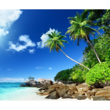  Vászon festmény, MÉDIA, Pálmák, sziklák, tenger, 105 x 70 cm grafika, keretezett kép