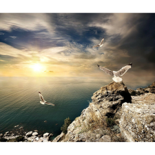  Vászon festmény, MÉDIA, Repülés a tengerparton, 105 x 70 cm grafika, keretezett kép