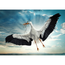  Vászon festmény, MÉDIA, Repülő gólya, 105 x 70 cm grafika, keretezett kép