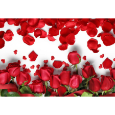  Vászon festmény, MÉDIA, Rózsa szirmok, 105 x 70 cm grafika, keretezett kép