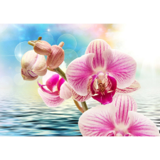  Vászon festmény, MÉDIA, Rózsaszín orchidea vízen, 105 x 70 cm grafika, keretezett kép