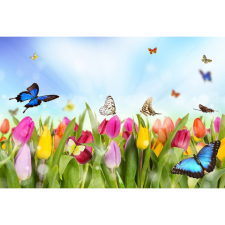  Vászon festmény, MÉDIA, Tulipánmező pillangókkal, 105 x 70 cm grafika, keretezett kép