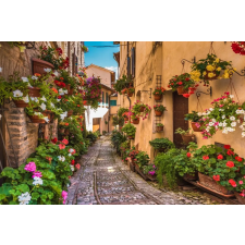  Vászonkép Cobblestone street, virágok, középkori város, 105 x 70 cm grafika, keretezett kép