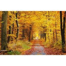  Vászonkép, MÉDIA, Őszi sárga, 105 x 70 cm grafika, keretezett kép