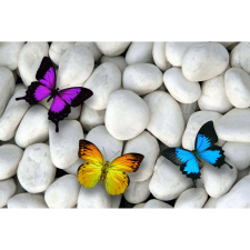  Vászonkép, MÉDIA, Színes pillangók fehér köveken, 105 x 70 cm grafika, keretezett kép