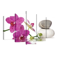 Vászonkép szett 5 darabos Orchidea elegáns 5 tapéta, díszléc és más dekoráció