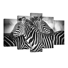 Vászonkép szett 5 darabos Zebras fekete és fehér tapéta, díszléc és más dekoráció