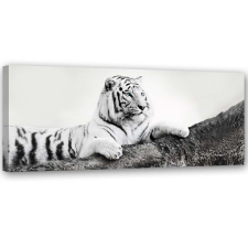  Vászonkép, Tigris vadon élő természet - 150x50 cm tapéta, díszléc és más dekoráció