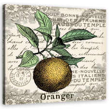  Vászonkép, Vintage narancs - 40x40 cm tapéta, díszléc és más dekoráció