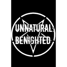 VD Games Unnatural: Benighted (PC - Steam elektronikus játék licensz) videójáték