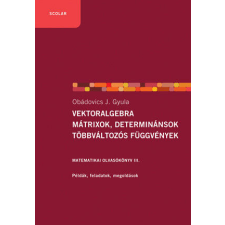 Vektoralgebra, mátrixok, determinánsok, többváltozós függvények tankönyv