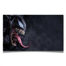 Venom - Vászonkép grafika, keretezett kép
