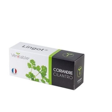 Véritable Igazi Lingot Coriander BIO dekoráció