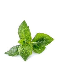 Véritable Igazi Lingot menta dekoráció