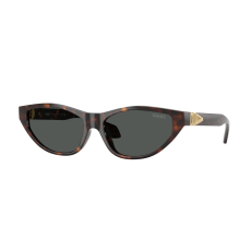 Versace VE4491U 108/87 Havana Dark Grey napszemüveg