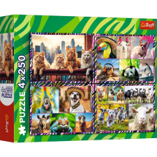 Vicces állatok 4x250 darabos puzzle puzzle, kirakós