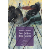 VICENS VIVES Don quijote de la Mancha (parte 2) | CERVANTES