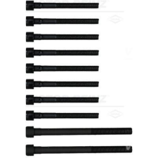 VICTOR REINZ hengerfejcsavar-készlet VICTOR REINZ 14-55097-01 autóalkatrész