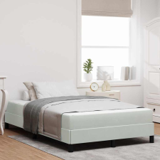 vidaXL Boxspring ágy matraccal Világosszürke 120 x 190 cm Bársony ágy és ágykellék