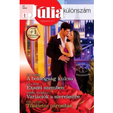 Vinton Júlia különszám 87. egyéb e-könyv
