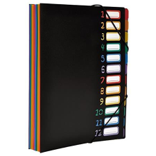  VIQUEL Irattartó mappa, gumis, 12 részes, VIQUEL &quot;Rainbow Class&quot;, fekete mappa