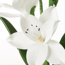  Virág 730 Fehér dekoráció