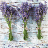 Virág Levendula Three Bunches szalvéta 20 db-os 33x33 cm