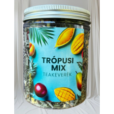 Virág Natura VN Trópusi mix 50g szálas gyógynövény teakeverék tea