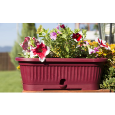Virágláda alátéttel Verbéna 1,9L 30x12x11cm Szín: Meggy kerti tárolás