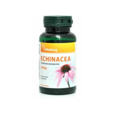 Vitaking Kft. Vitaking Echinacea 250 mg Bíbor kasvirág 90 db kapszula vitamin és táplálékkiegészítő
