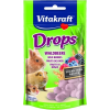 Vitakraft Drops Erdei Gyümölcs Rágcsálónak 75G