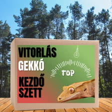  Vitorlás gekkó TOP kezdőcsomag - bébi gekkóknak hüllőfelszerelés