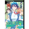 Viz Media Nisekoi: False Love, Vol. 23 | Naoshi Komi