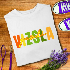 Vizsla gazdi férfi póló férfi póló
