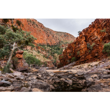  Vlies Fotótapéta - Australian national park - 375x250 cm tapéta, díszléc és más dekoráció