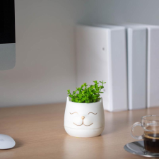 Vog und Arths Műnövény dekoráció - macskafej - 9 x 14 cm - 3 féle dekoráció