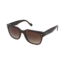 Vogue Napszemüvegek Vogue VO5490S W65613