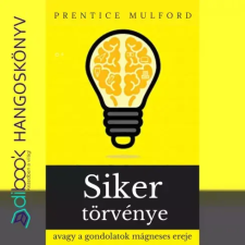 Voiz A siker törvénye egyéb e-könyv