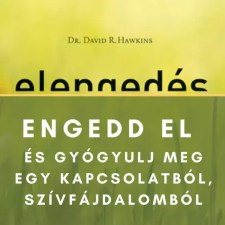 Voiz Engedd el és gyógyulj meg egy kapcsolatból vagy szívfájdalomból! egyéb e-könyv